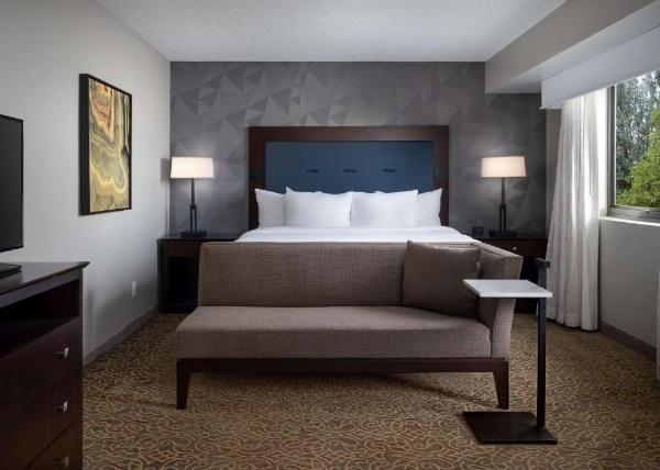 Embassy Suites by Hilton Tucson East, AZ image 14