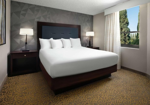 Embassy Suites by Hilton Tucson East, AZ image 21