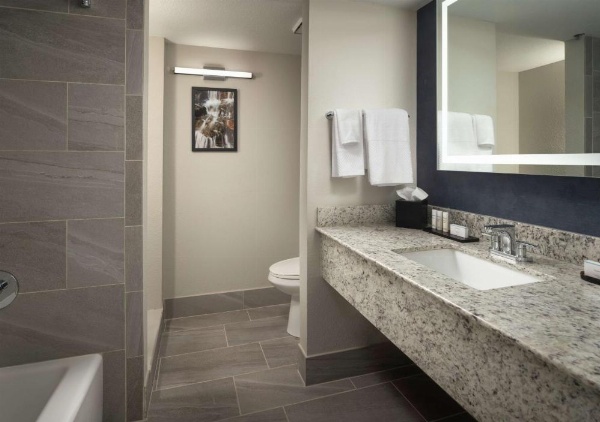 Embassy Suites by Hilton Tucson East, AZ image 23